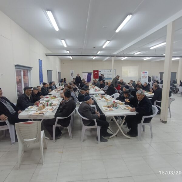 Yaglik_aycicek (5)