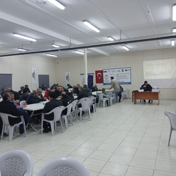 Yaglik_aycicek (6)